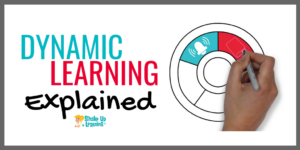 The Dynamic Learning Framework for Teachers