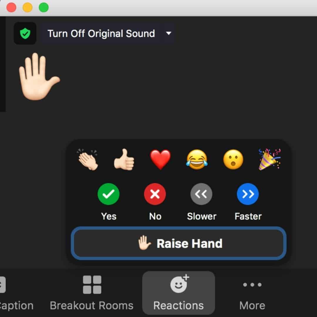 zoom account types